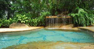 Construire une piscine naturelle : Avantages et Inconvénients